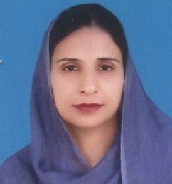 Principal's Image